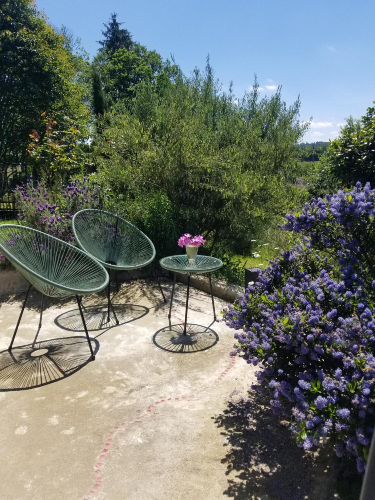 Appartamento La bohème Saint-Julien-le-Petit Esterno foto